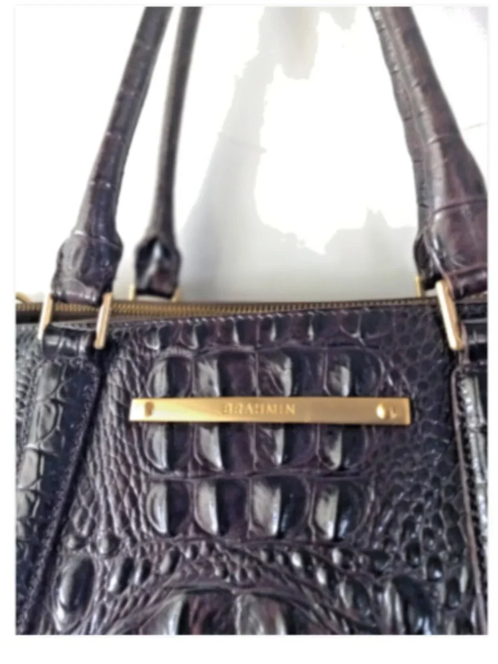 Brahmin asher satchel